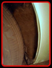 Wheel detailed by Fifty Dollar Detail, Riidgefield, WA.